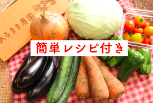 レシピ付】あるまま農園・無農薬野菜セット＜M＞月2｜野菜の商品詳細