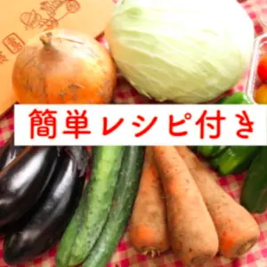 【レシピ付】あるまま農園・無農薬野菜セット＜M＞月2