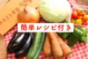 【レシピ付】あるまま農園・無農薬野菜セット＜M＞月2