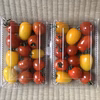 【新鮮朝採り】ミニトマト(カラフルミックス)4パック1.2kg 
