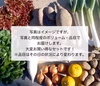 【こだわり農家の野菜セット】新春売り尽くしセール！