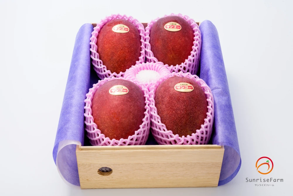 【木箱入り】サンライズファームのアップルマンゴー