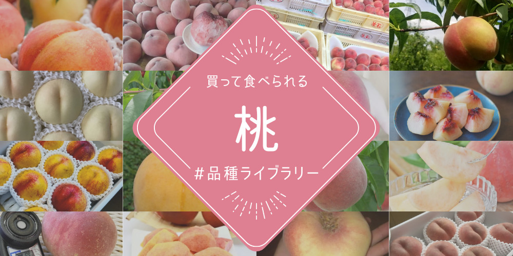 本日の収穫した桃 かなりデカイサイズを4キロ箱に８個 最高級の夏っ子