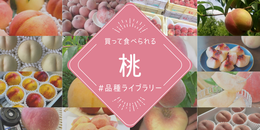 農家直送の桃57種類ご紹介????買って食べられる桃の品種図鑑(2021年7月13日更新) | 農家漁師から産地直送の通販 ポケットマルシェ