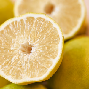 種なしレモン　薄皮　果汁多い　大きいサイズ多め