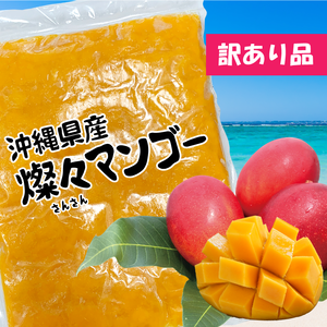 【沖縄県産】冷凍 燦々マンゴー（ピューレ状）【業務用・無添加・保存料不使用】