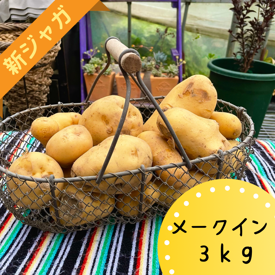 Sale 99 Off 新じゃがいも メークイン ３キロ 広島県産 Www Anavara Com