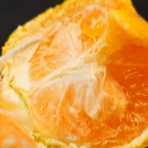 お子様みかん　ワックス、防腐剤、防カビ剤未使用で安心