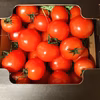【お試し１キロ箱】あま〜い‼︎中玉トマト入るだけ入れちゃいます‼︎