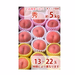福島の桃　贈答用秀品　食べ比べセット　晩生種（8月下旬〜9月上旬お届け予定）