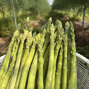 瑞々しさと香りに自信あり！夏アスパラ　M、Lサイズ中心　1kg 　