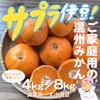 サプラ伊豆！ご家庭用の温州みかん【減農薬】【訳あり】