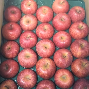 ［送料込］　りんご 　ふじ　家庭用