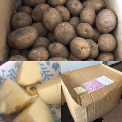 みんなの投稿の画像