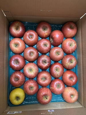 みんなの投稿の画像