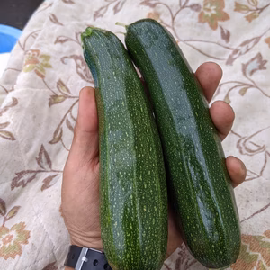 「ほほほ」のどっさり有機露地ズッキーニ☆