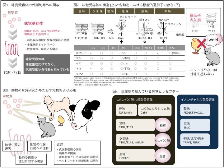 13892015_1157719824251120_4125591022836314668_n