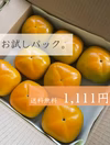 キタヤマ果樹園の刀根早生柿　お試しパック 6〜8個入り Mサイズ以上《送料無料》