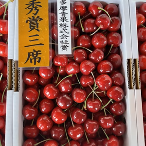 山形県産　さくらんぼ　佐藤錦 800グラム　　