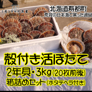 有限会社 カネサ漁業 佐藤匡将さん 農家漁師から産地直送の通販 ポケットマルシェ