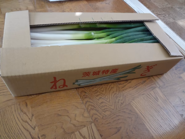 白ネギ　5ｋｇ　エコファーマー認定　減農薬