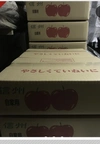 特典付き　長野県オリジナル品種　家庭用シナノリップ　3キロ箱