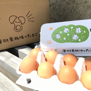 【赤たまご40個】納豆菌の仲間、『枯草菌』で育てた鶏のたまご40個