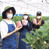 木村祝幸 | しあわせj-Farm