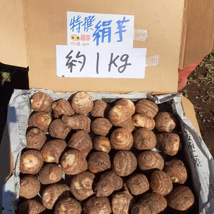 美肌＆デトックス効果抜群❣　特選絹芋の子芋ちゃん"コンパクト箱に入るだけ”　