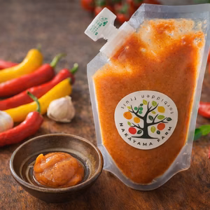 南高梅肉チューブ【塩】/和歌山県産/