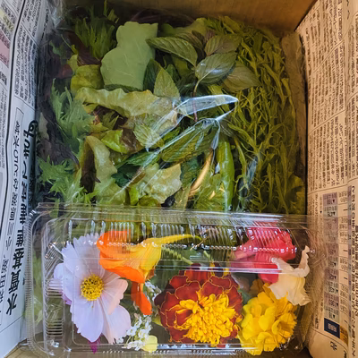 みんなの投稿の画像