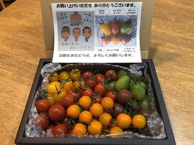 みんなの投稿の画像