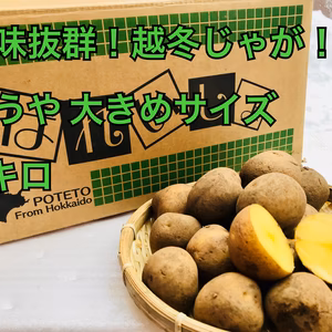 ●じゃがいも とうや　 M〜2Lサイズ　●10キロ ●北海道
