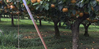 自然と向き合う、農家という仕事