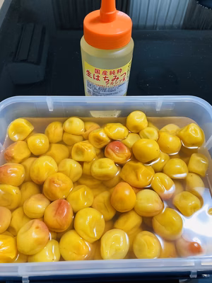 みんなの投稿の画像