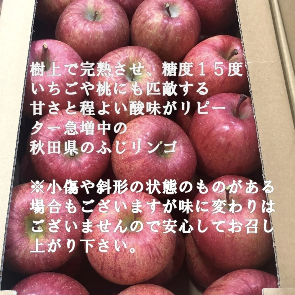 【先行予約雪中りんご】雪中貯蔵 りんご リンゴ 秋田 ギフト 贈答 家庭