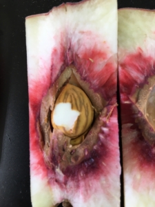 A04699BC-8FC6-4848-BC5A-C0B83DBD1A74