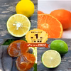 小粒みかんと優しい味のレモンのセット
