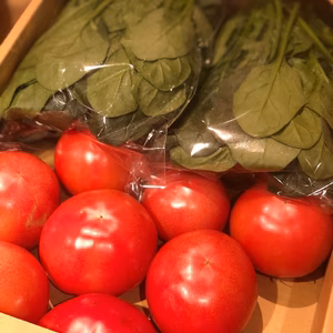 肉厚ほうれん草と桃太郎トマトのセット