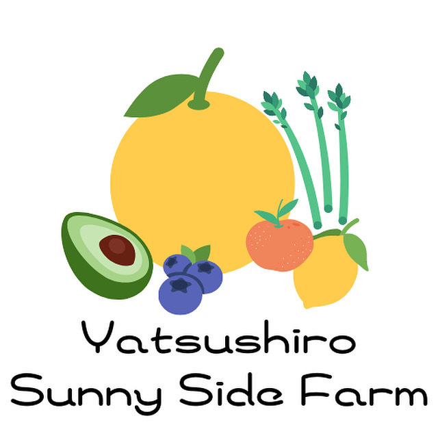 熊本県八代市｜やつしろサニーサイドファーム｜桑原健太さんの生産者