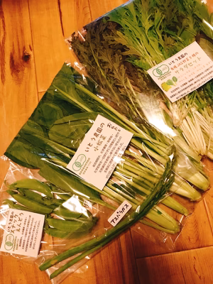 みんなの投稿の画像