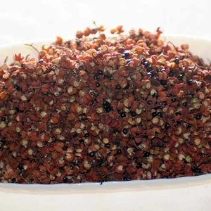 【乾燥山椒】100g(和歌山紀美野産）