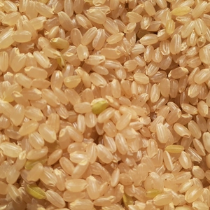 天手子米ランドの玄米（R4年度産）