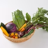 季節の彩り野菜セット(お手軽Ｓサイズ)