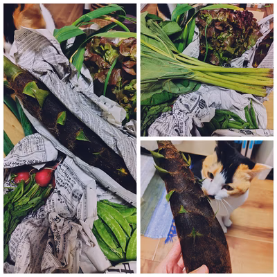 みんなの投稿の画像