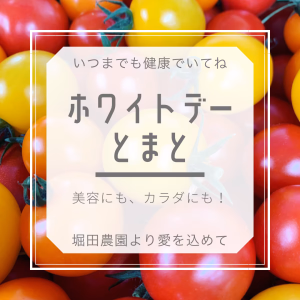 【ホワイトデーにどうぞ】堀田農園のトマト&野菜おまかせ‼︎セット