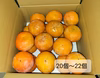 ☆彡秋の大豊作祭☆彡和歌山県産　富有柿　家庭用(L～2L)サイズ