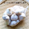 【5周年福袋】送料無料！北海道産ニンニク（オマケ付き！）