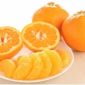 【送料無料】伊予柑10kg