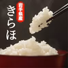 【定期便】甘くてもっちり、冷めても美味しいお米「きらほ」精米と玄米のセット
